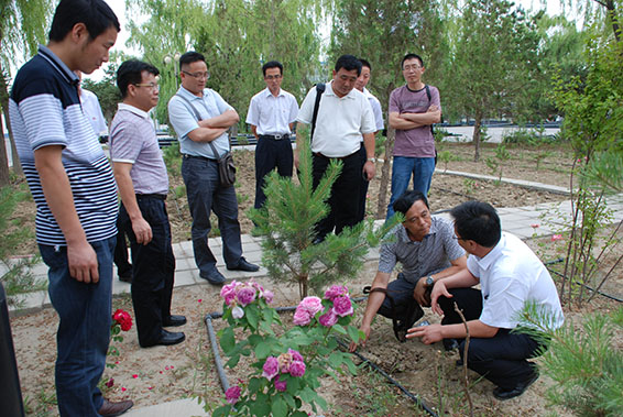 九州酷游「中国」官方网站