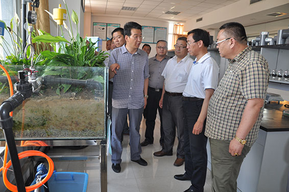 九州酷游「中国」官方网站